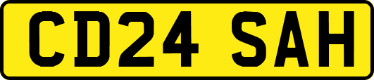CD24SAH