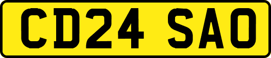 CD24SAO