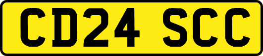 CD24SCC