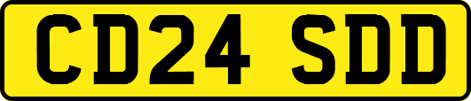 CD24SDD