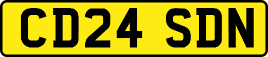 CD24SDN