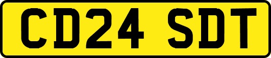 CD24SDT