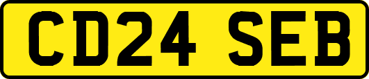 CD24SEB