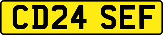 CD24SEF