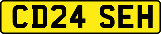CD24SEH
