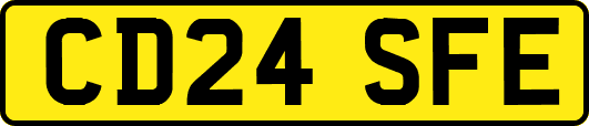 CD24SFE