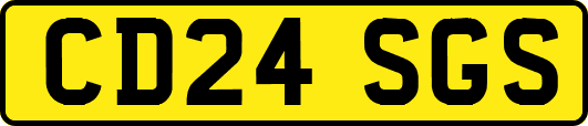 CD24SGS