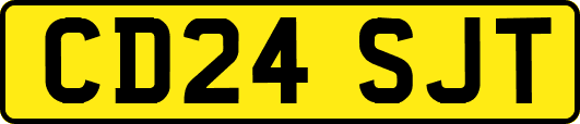 CD24SJT