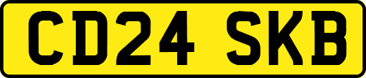 CD24SKB