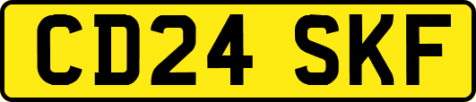 CD24SKF