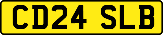 CD24SLB