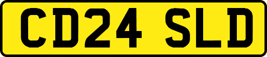 CD24SLD