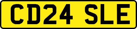CD24SLE