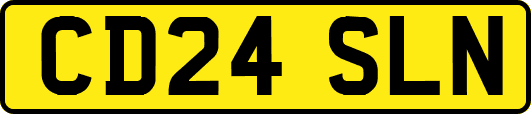 CD24SLN