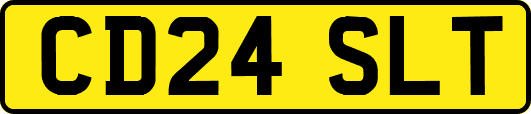 CD24SLT