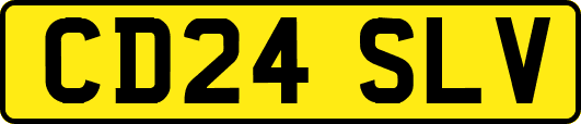 CD24SLV