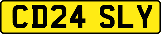 CD24SLY