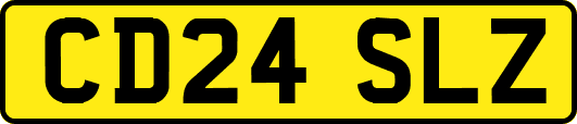 CD24SLZ