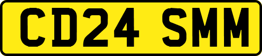 CD24SMM