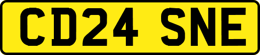 CD24SNE