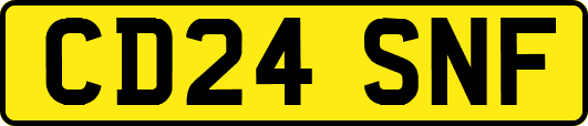 CD24SNF