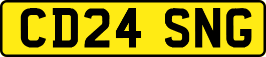 CD24SNG