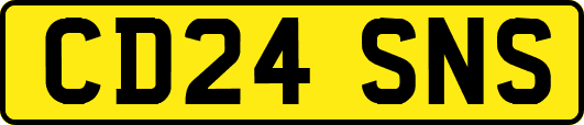 CD24SNS