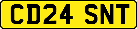 CD24SNT
