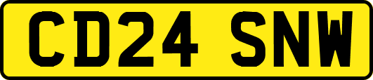 CD24SNW