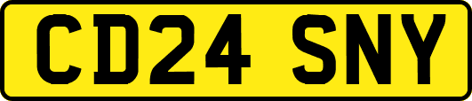 CD24SNY