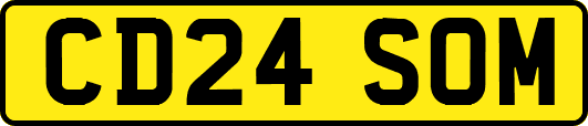 CD24SOM
