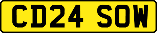 CD24SOW