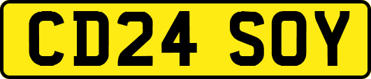 CD24SOY