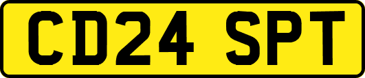 CD24SPT