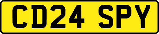 CD24SPY