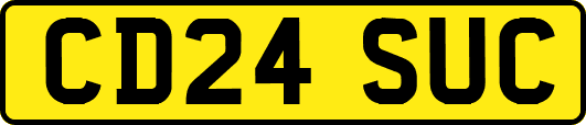 CD24SUC