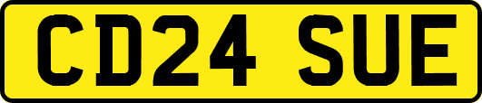CD24SUE