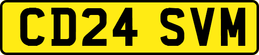 CD24SVM
