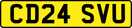 CD24SVU