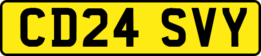 CD24SVY