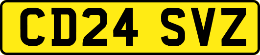 CD24SVZ
