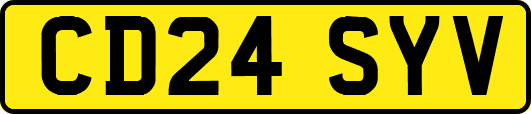 CD24SYV
