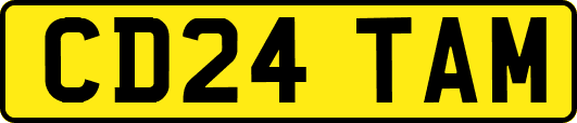 CD24TAM