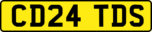 CD24TDS