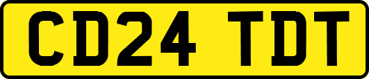 CD24TDT
