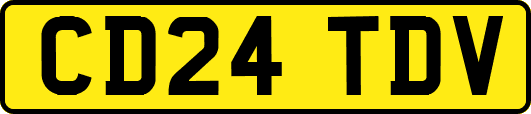 CD24TDV