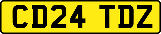 CD24TDZ
