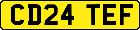 CD24TEF