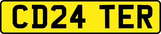 CD24TER