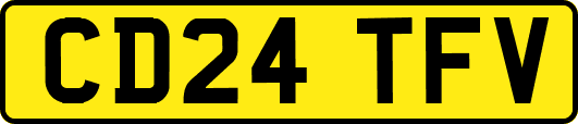 CD24TFV
